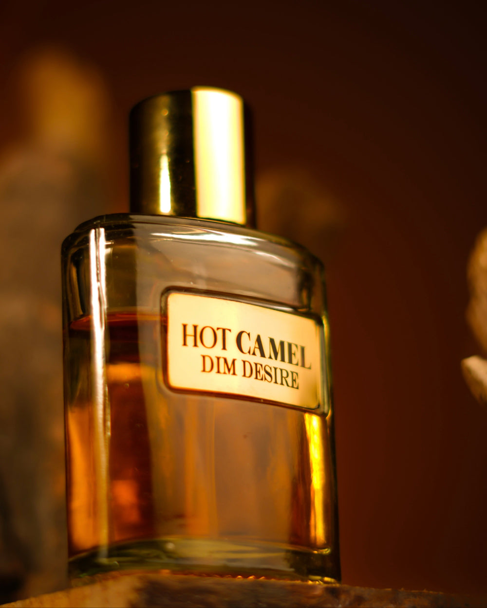 Hot Camel – Dim Desire