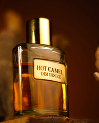 Hot Camel – Dim Desire